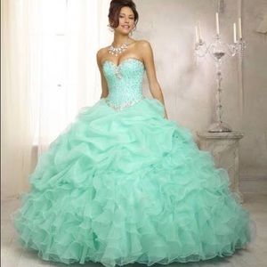 Quincenera/sweet 16/ prom fluffy  dress